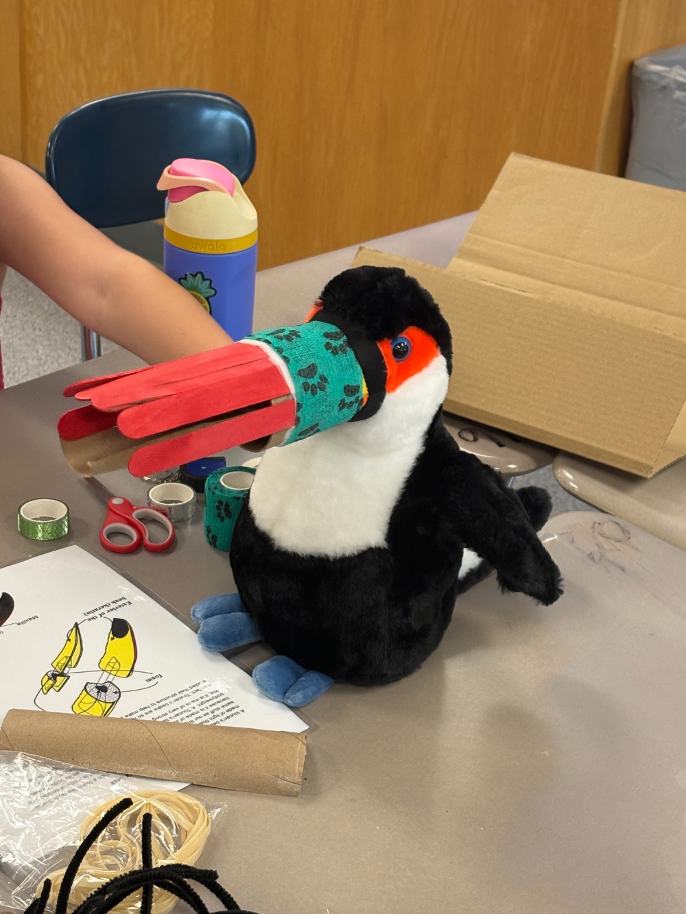 2026 East Kentwood Animal Prosthetics Camp